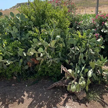 Dom wakacyjny Palma Di Mare *